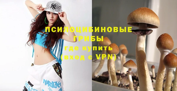 дживик Нягань