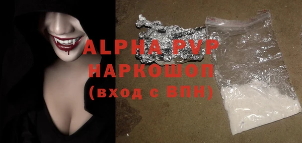 прущие грибы Новодвинск