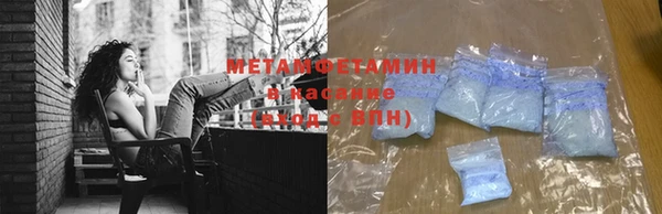 прущие грибы Новодвинск