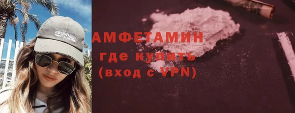 амф Бородино