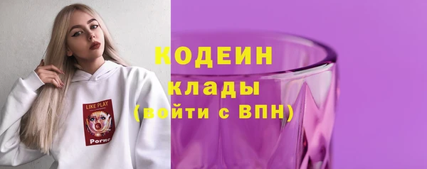 амф Бородино
