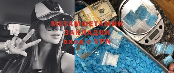 прущие грибы Новодвинск