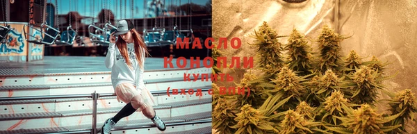 амф Бородино