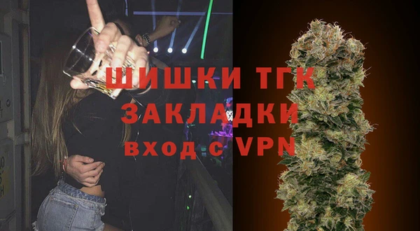 амф Бородино