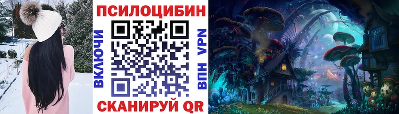 Галлюциногенные грибы GOLDEN TEACHER  нарко площадка состав  Новый Оскол  купить закладку 